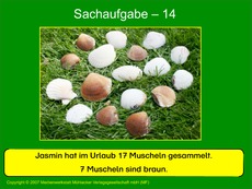 Präsentation-Sachaufgabe-14.pdf